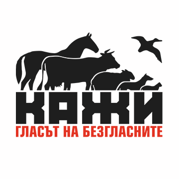 caai
