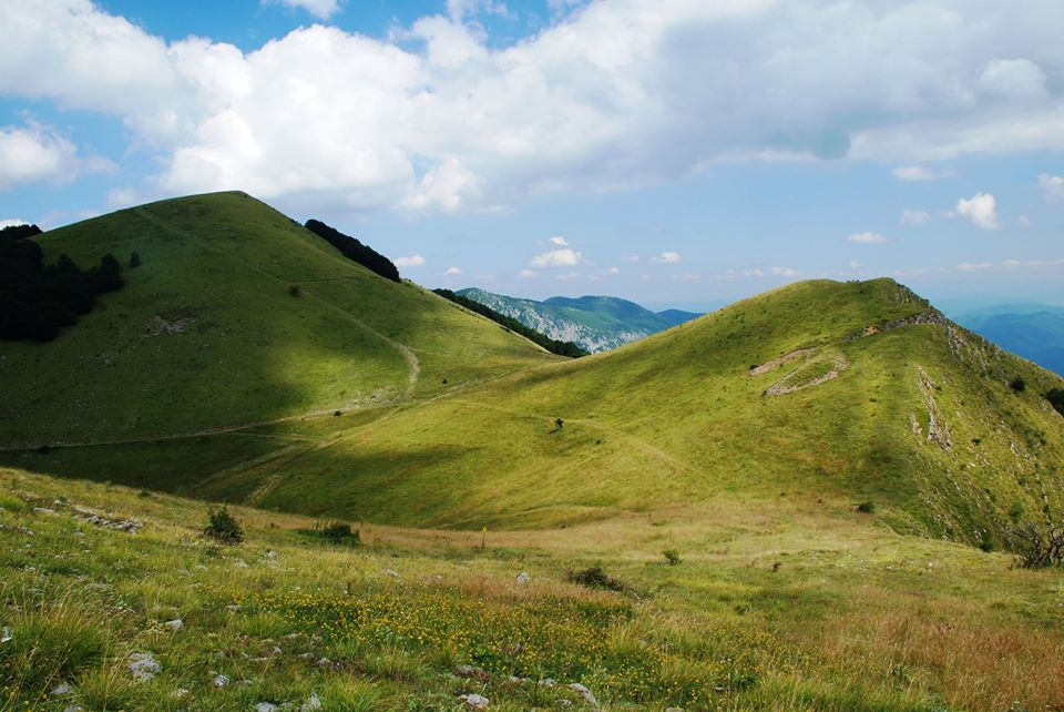 Asociacia na parkovete v Balgaria2